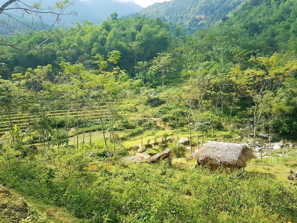 Pu Luong